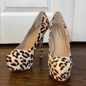 Steve Madden Dejavu leopard Heels